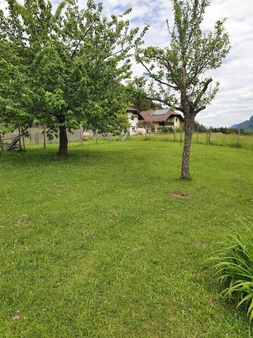 Charmantes Ferienhaus in bester Lage Keutschach am See Exterior foto